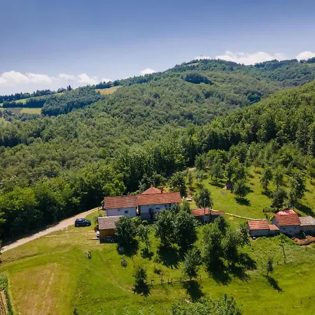 Holiday home Kuca Za Odmor Dm Bajina Basta