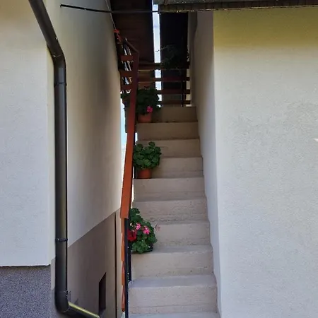 Prázdninový dům Kuca Za Odmor Dm *